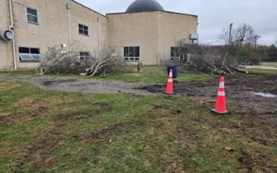 Steady Progress in Record Time: Our Excavation Journey